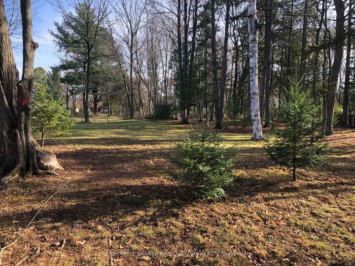 Property Photo:  65 Vaan Drive  ON K2G 0C2 