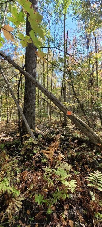 Property Photo:  Pt/Lot 21 Concession 3 Road  ON K7H 3C7 