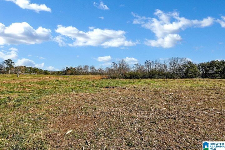 Property Photo:  215 County Road 83 215  AL 35033 