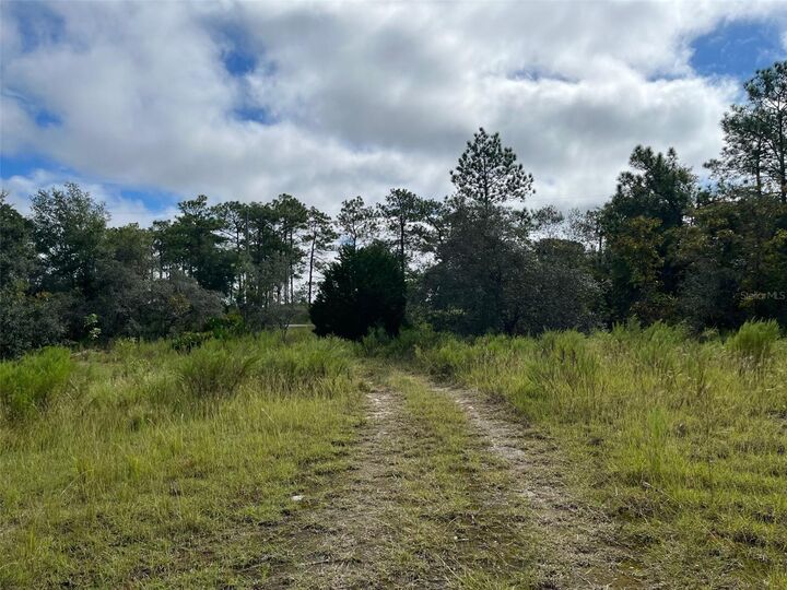 Property Photo:  13154 Flaccus Court  FL 34613 