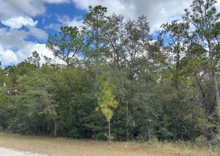 Property Photo:  Lot 19 Canyon Swallow Road  FL 34614 