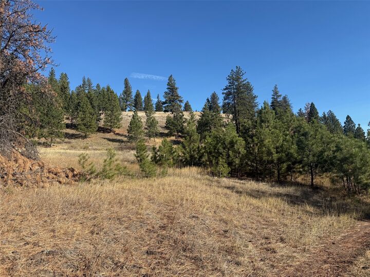 Property Photo: Parcel 1C Dry Gulch Road MT 59804