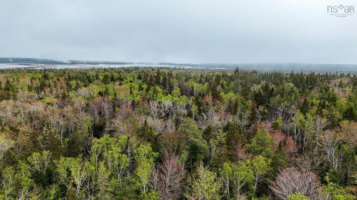 Property Photo:  0 Birch Grove Road  NS B1B 1J3 