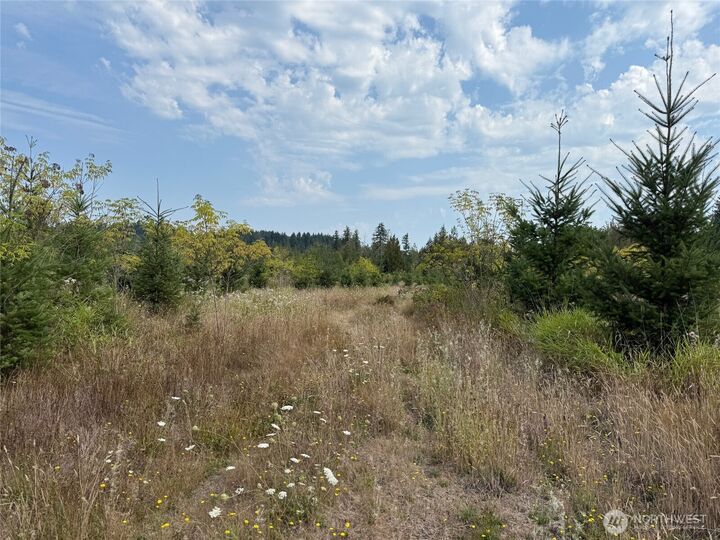 Property Photo:  14 Xx  Spencer Road  WA 98570 