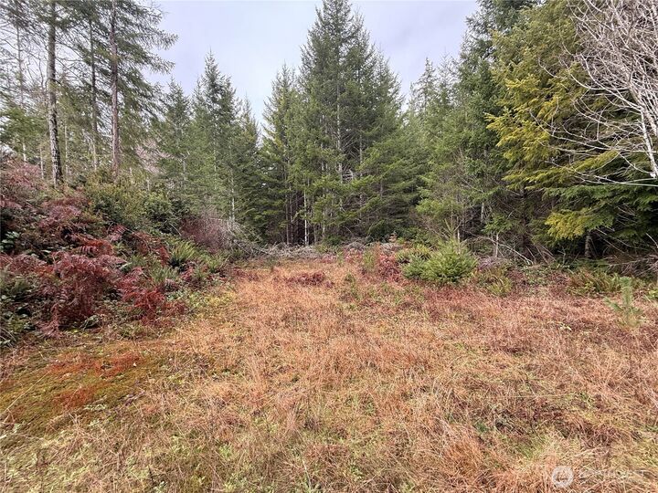 Property Photo:  10 Xx E Shetland Road  WA 98584 