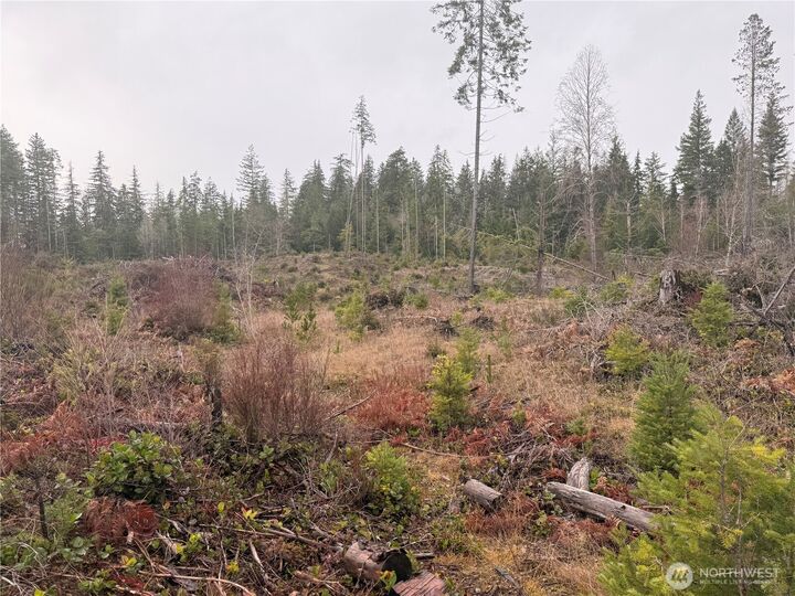 Property Photo:  10 Xx E Shetland Road  WA 98584 