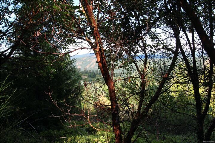 Lot 29 Goldstream Heights Dr — photo 1