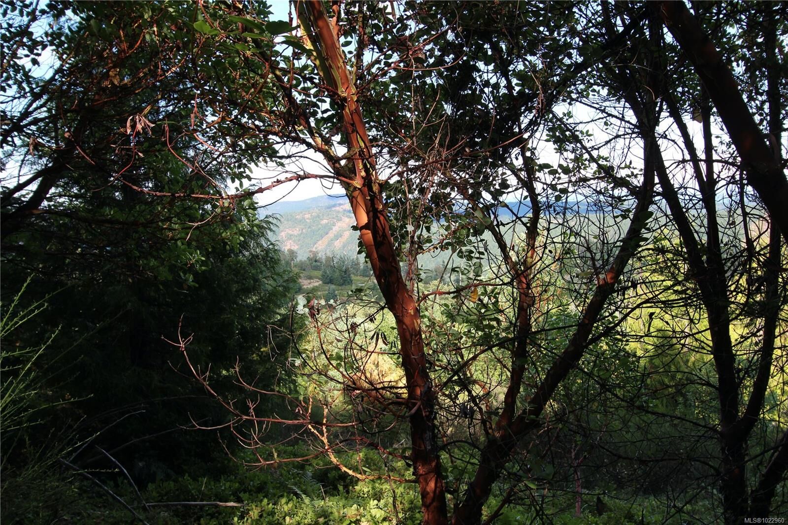 Property Photo:  Lot 29 Goldstream Heights Dr  BC V0R 2L0 