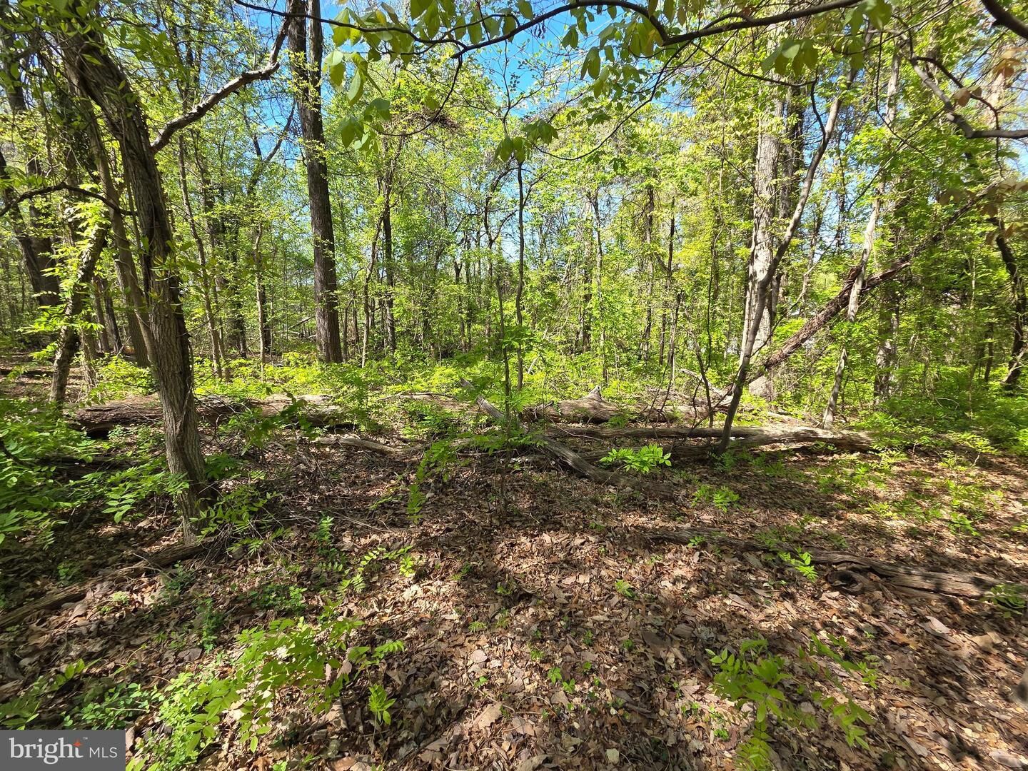 Property Photo:  Riverdale Road  MD 20706 