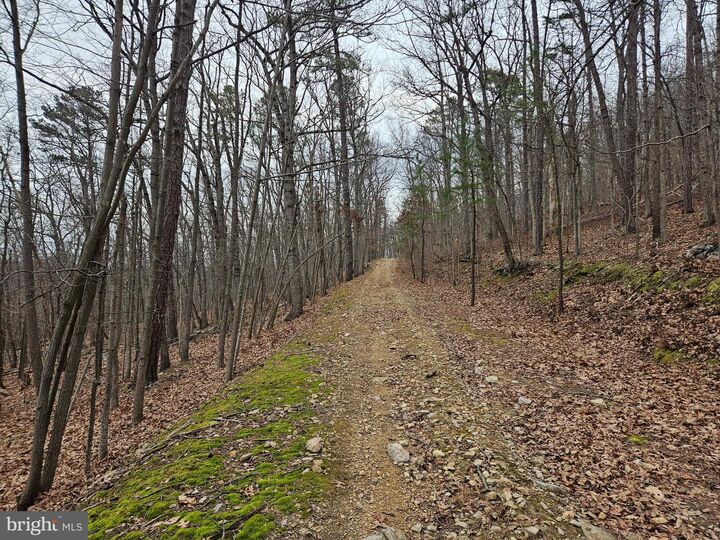 Property Photo:  Chapman Lane  VA 22620 