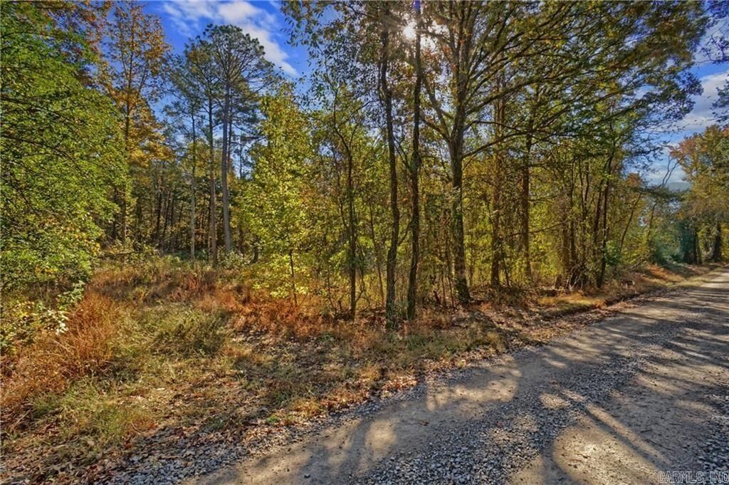 Property Photo:  Lot 6 Melvin Ln.  AR 72837 