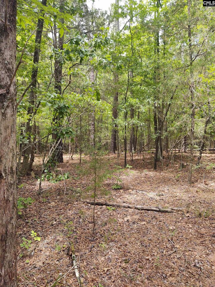 Property Photo:  1109 Hopewell Church  SC 29063 