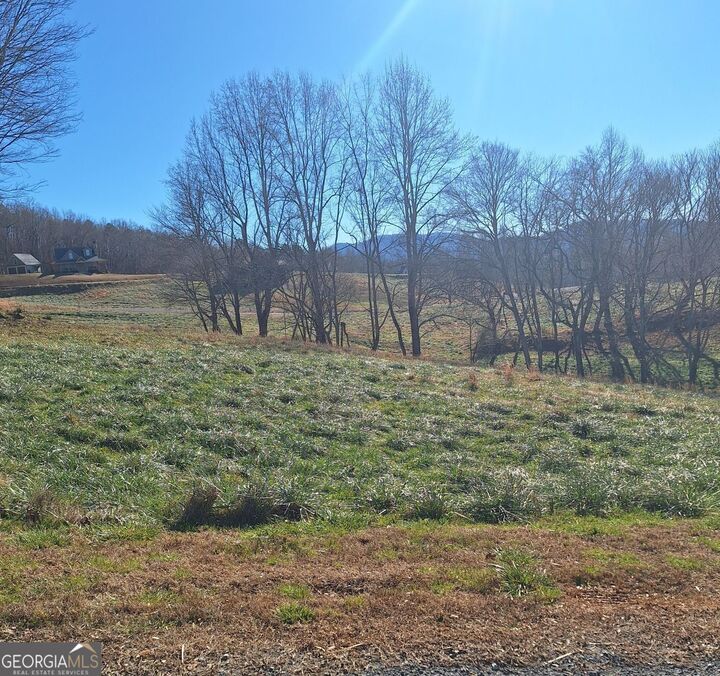 Property Photo:  0 Big Valley Drive  GA 30560 