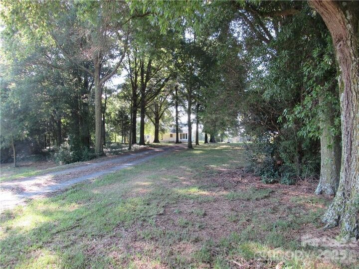 Sena Sweargen, NC/SC Real Estate