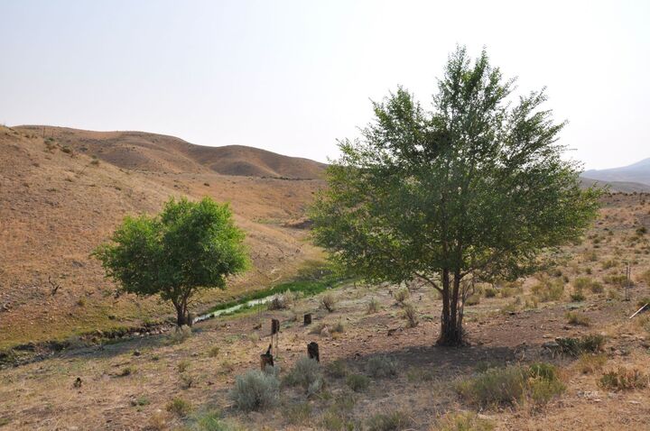 Property Photo:  006-10A-001  NV 89801 