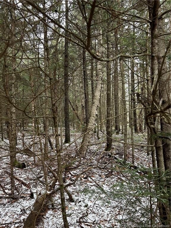Lot 26-3 Backland Road — photo 1