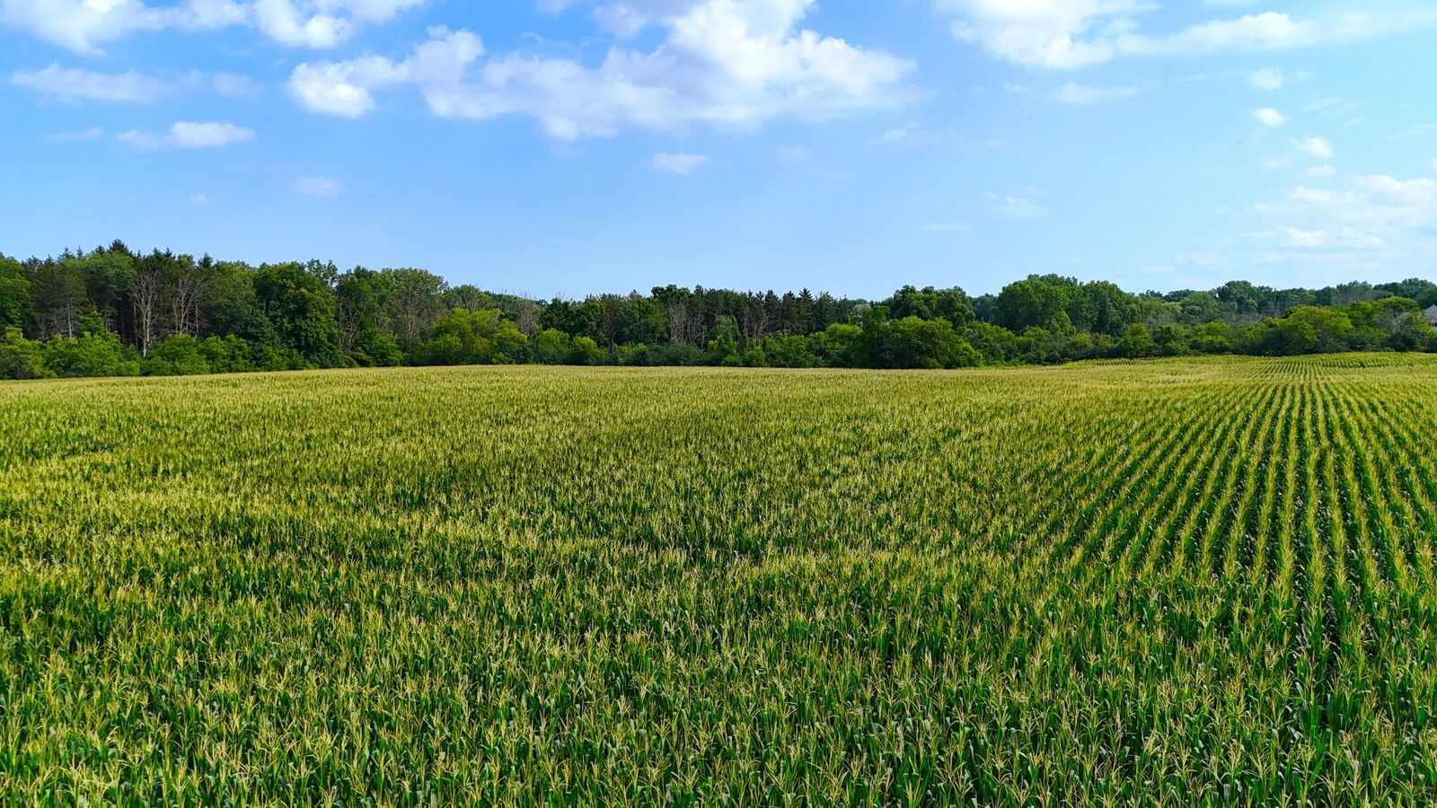 Property Photo:  Lt2 3 Mile Rd  WI 53406 