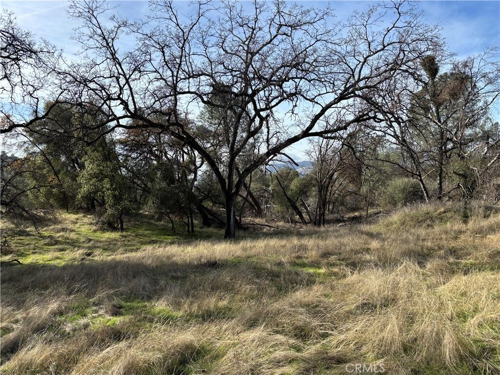 Property Photo: 0 Daffodil Drive CA 95338