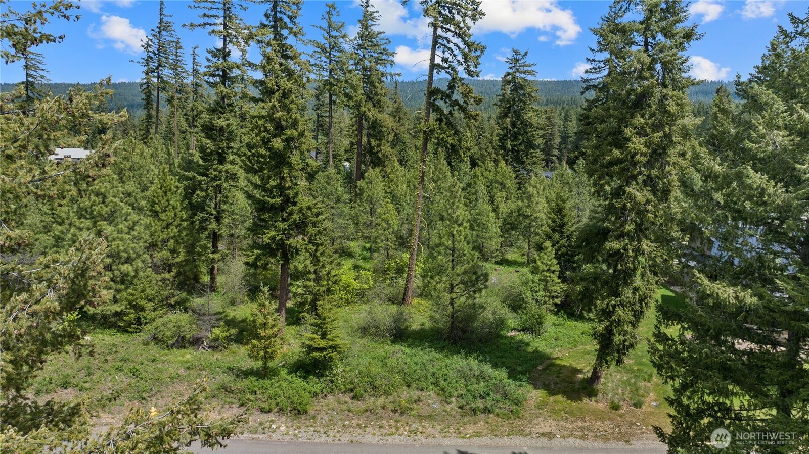 Property Photo:  450  Kokanee Loop  WA 98922 