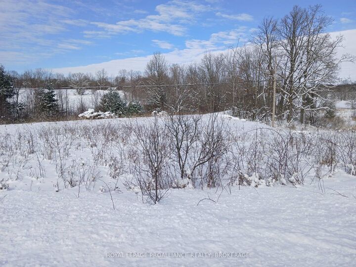 268 Crozier Road — photo 1