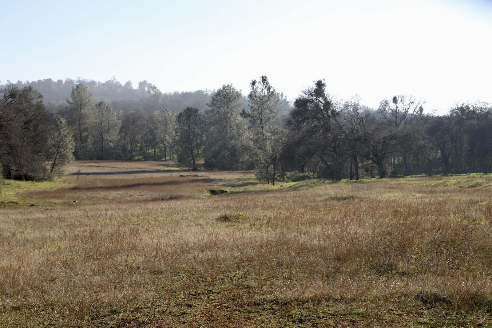 Property Photo:  10282 Piney Creek  CA 95311 