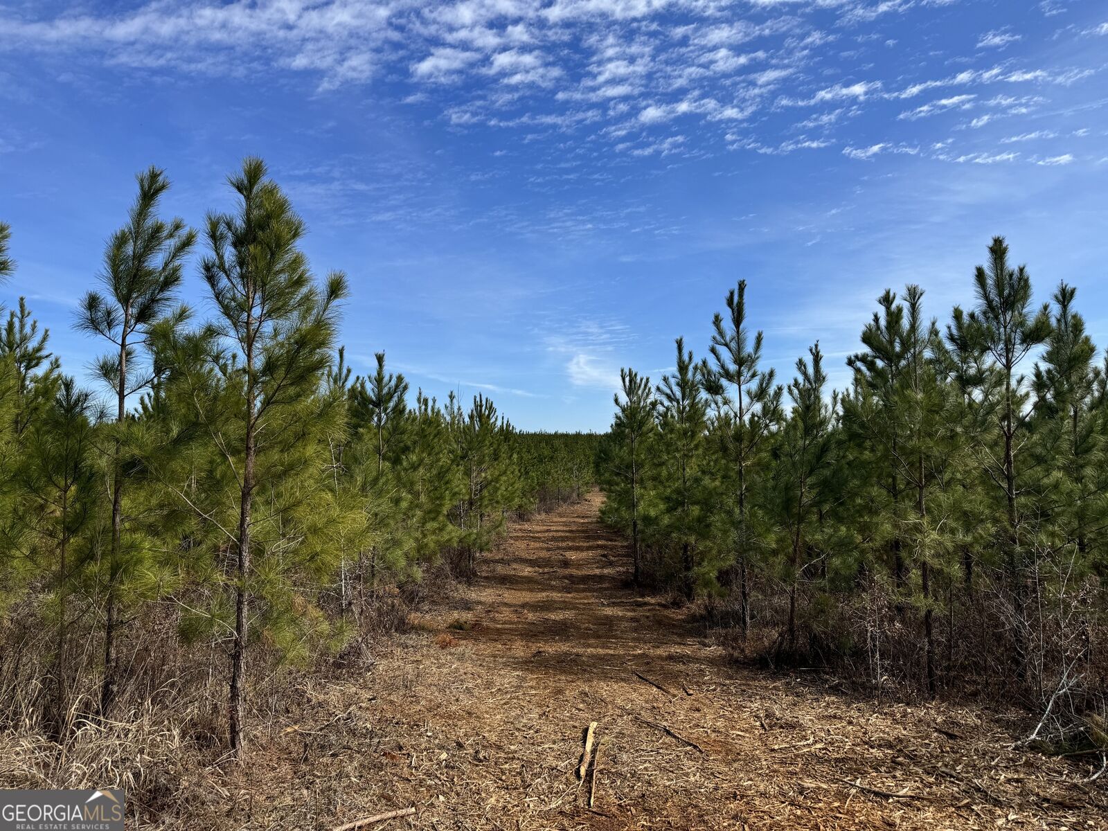 Property Photo:  019 Dozier Road  GA 31806 