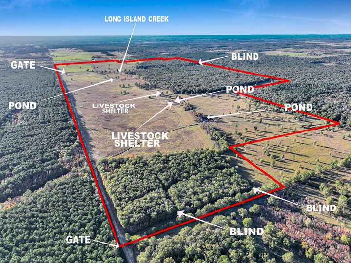 Property Photo:  Tbd County Road 2058  TX 77564 