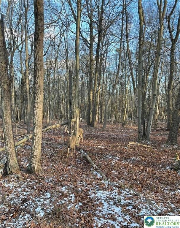 Property Photo:  124 Ash Drive  PA 18334 