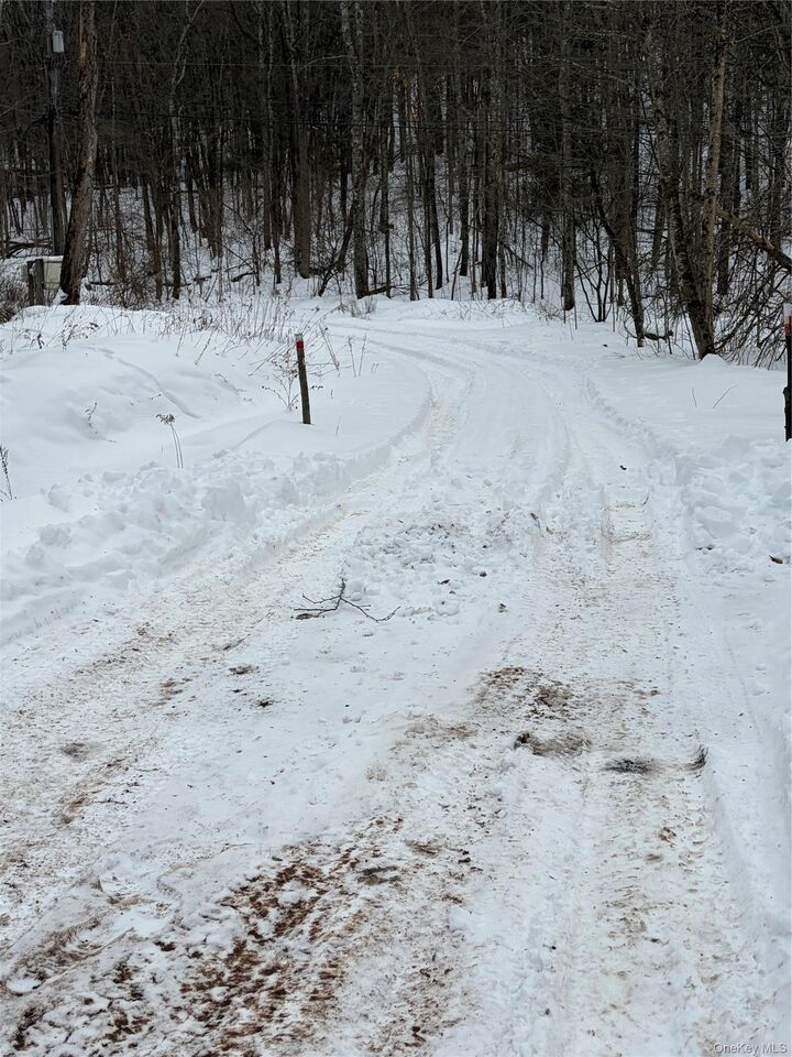 Property Photo:  790 Oak  NY 13783 