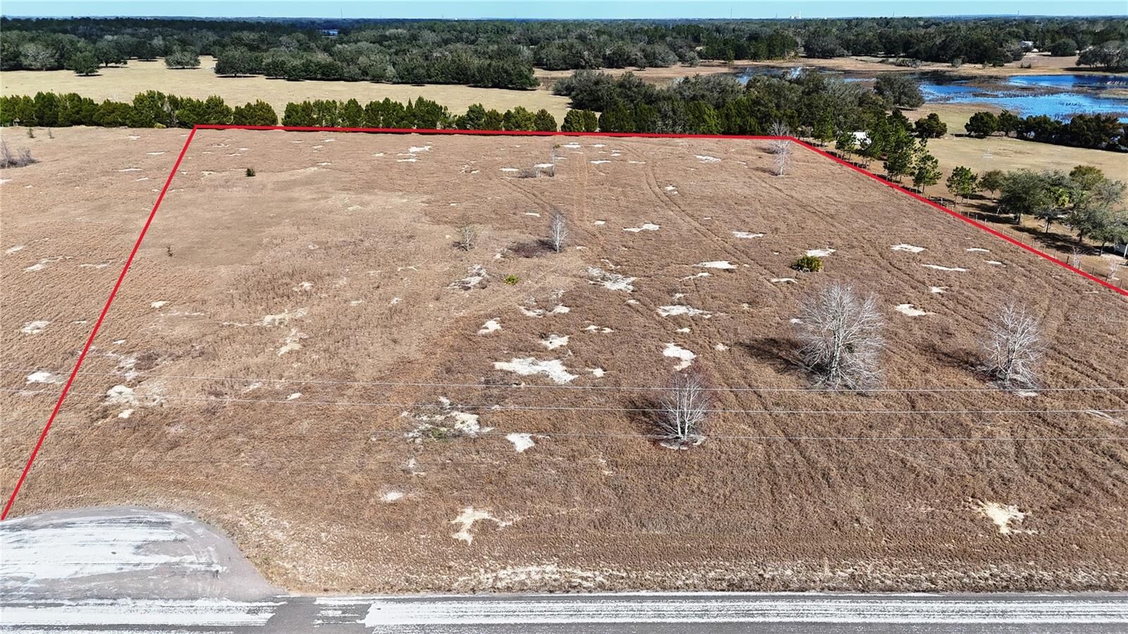 Property Photo:  Hammock Grove Road  FL 34736 