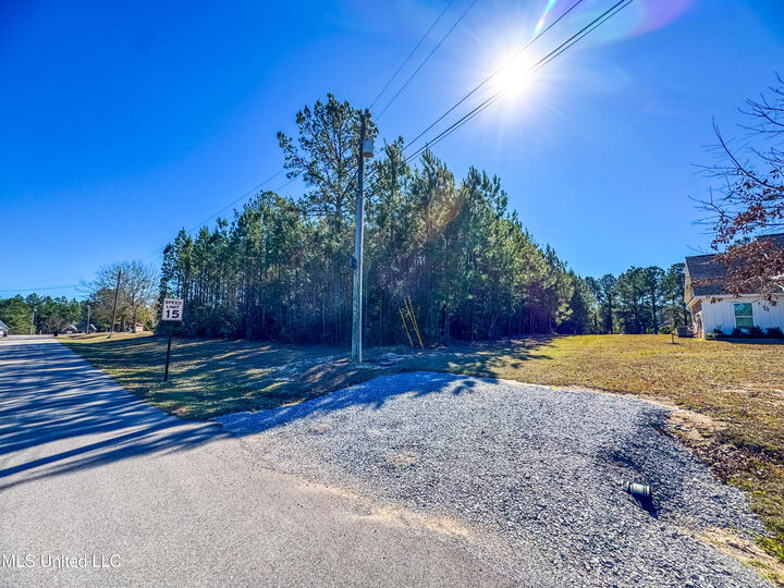 Property Photo:  Dill Road  MS 39574 