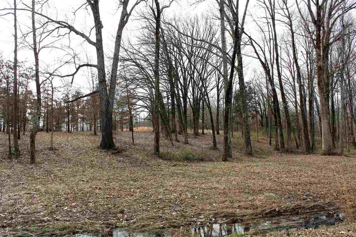 Property Photo: 0 Diamond Valley Estates AR 72404