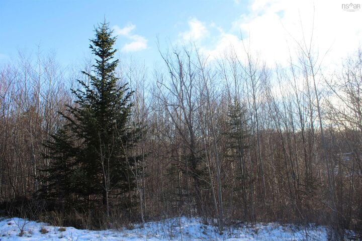 Property Photo:  Parker Mountain Road  NS B0S 1A0 