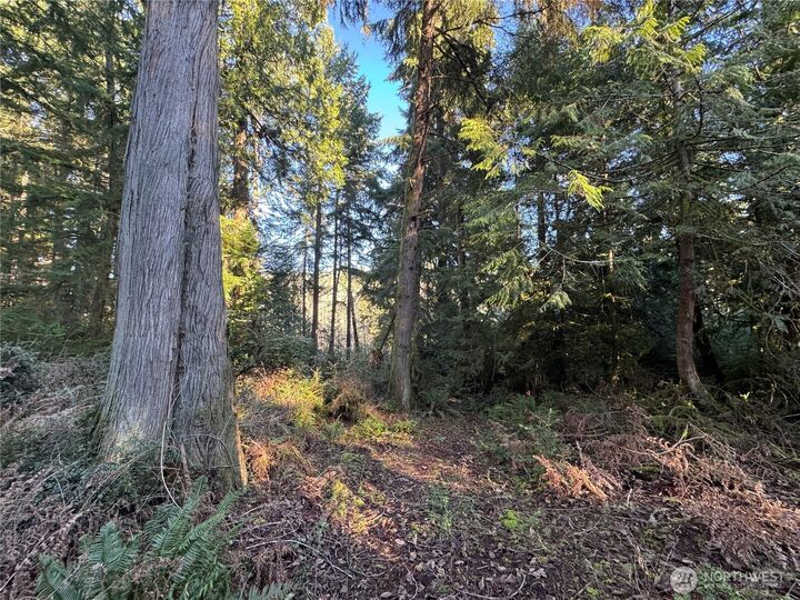 Property Photo:  12719  & 12723 96th Street Ct  WA 98303 