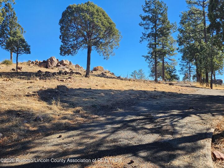 Property Photo:  318 McBride Drive  NM 88345 