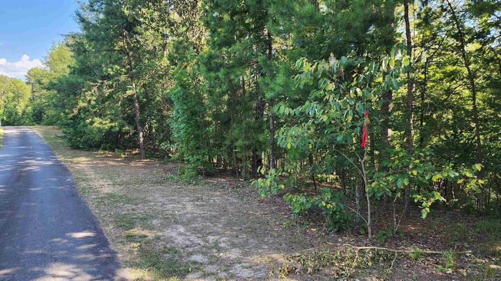 Property Photo: Lot 7 Oversprings Drive AR 72002