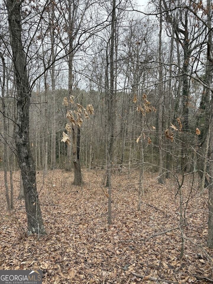 Property Photo: 0 Polk Avenue GA 30132