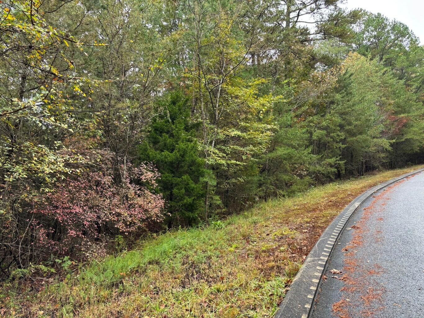 Property Photo: 3 Countryside Drive TN 37327