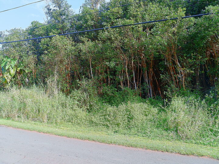 Property Photo:  Diamond Head Rd  HI 96778 