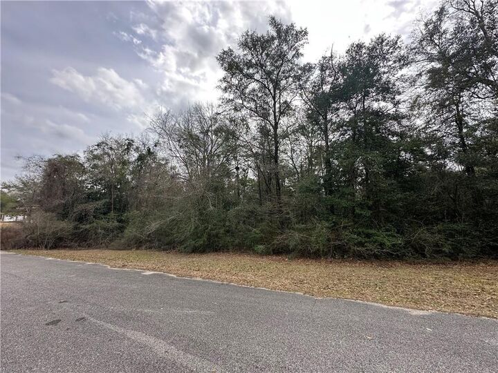 Property Photo:  0 Timber Springs Drive  AL 36587 
