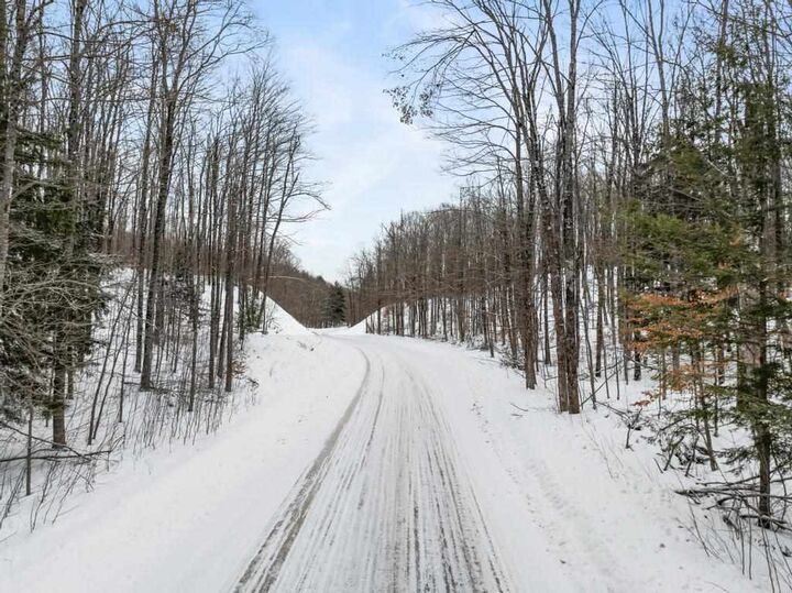 Property Photo:  Wildwood  MI 49770 