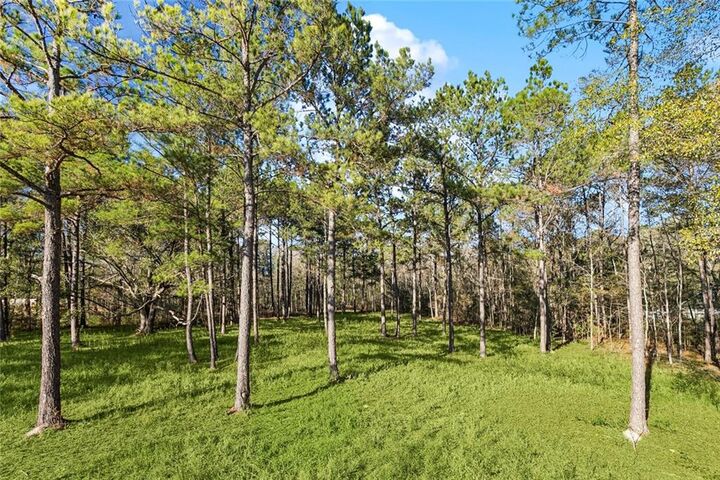 Property Photo:  12752 Crossvine Drive  LA 70433 