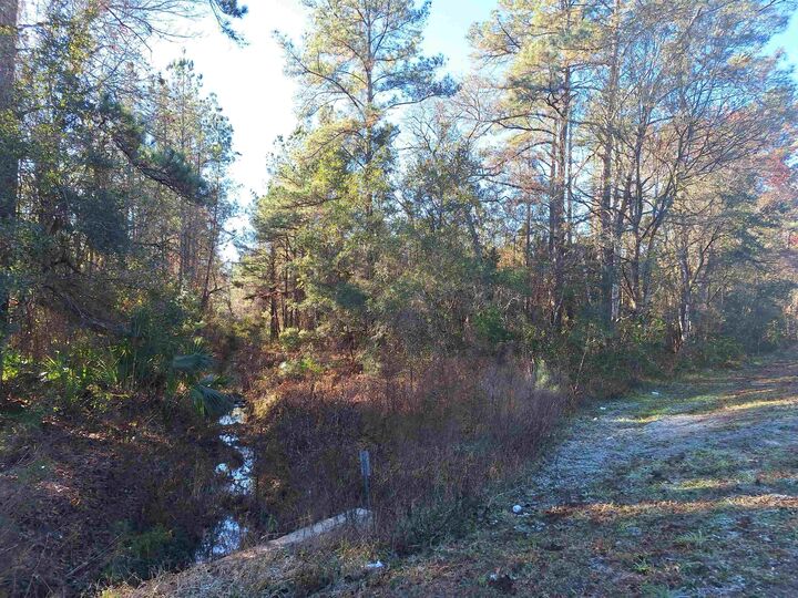 Property Photo: 1075 S State Rd 19 FL 32177