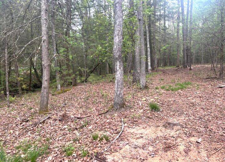 Property Photo:  Lot 3 Asbury Trace  WV 24901 