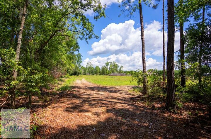 Property Photo:  17614 Lanes Bridge Road  GA 31555 