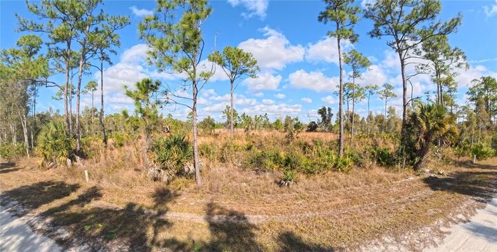 Property Photo:  12196 Caravan Drive  FL 33955 