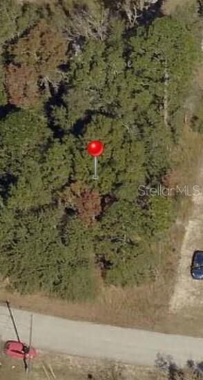 Property Photo: Tbd N Pine Radial Road N 16 FL 34472