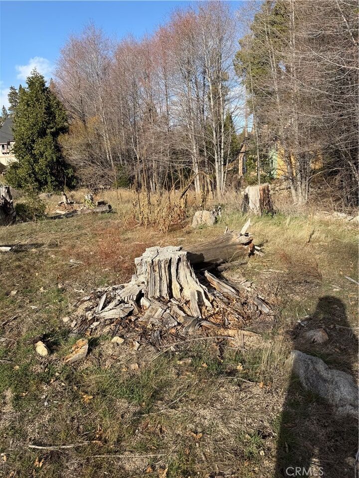 Property Photo: 29649 Hook Creek Road CA 92321