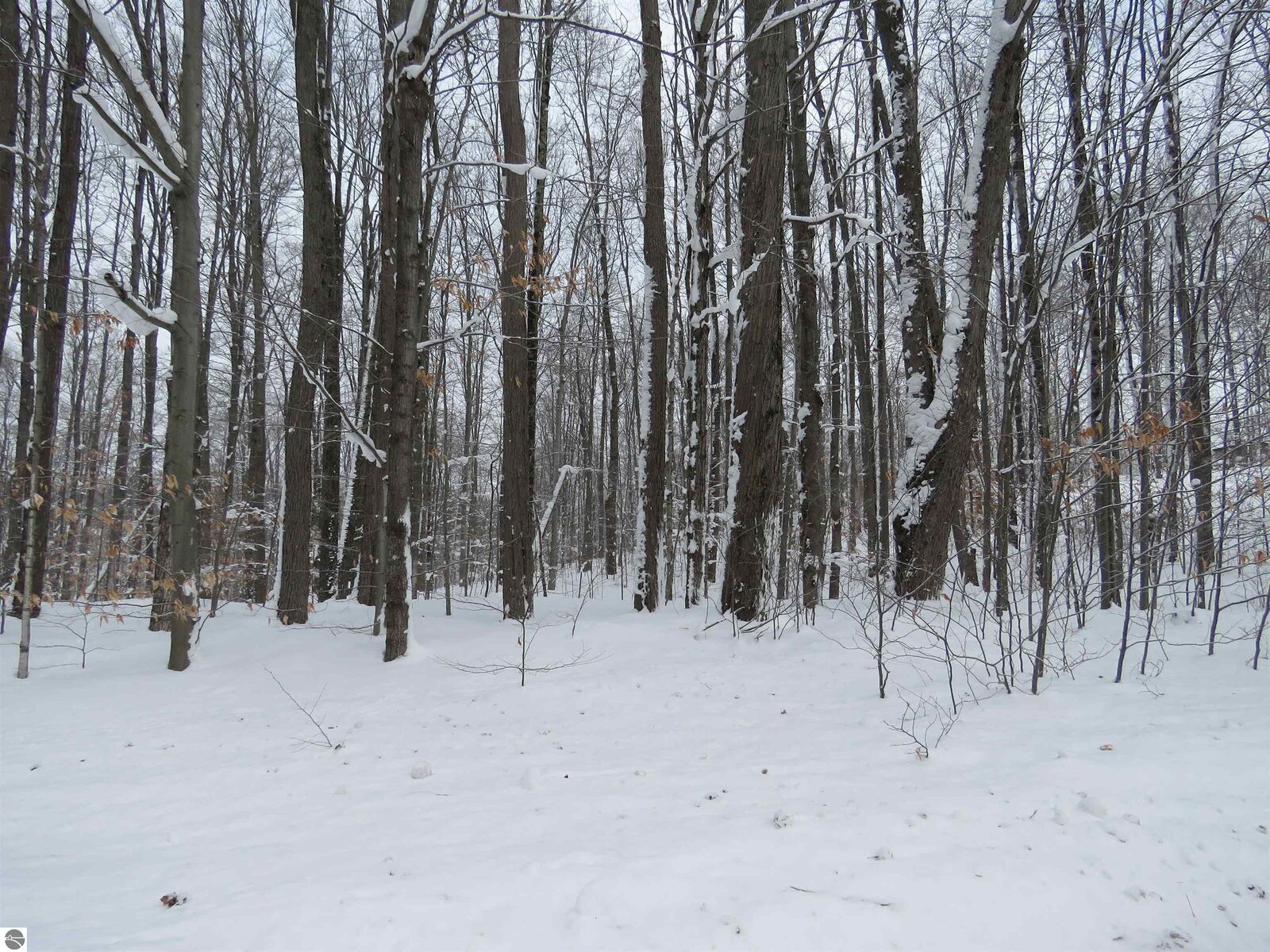 Property Photo:  0 W 38 Road  MI 49638 