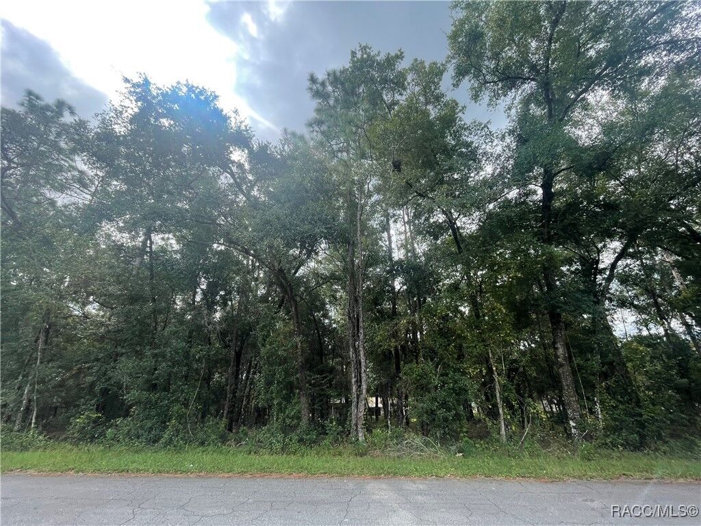 Property Photo: 6534 Kent Street FL 35542